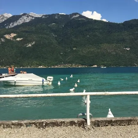 Appartement Le Bellerive et sa plage privée Doussard